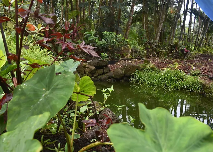 The Red Cottage And Hawaiian Pond Garden Paradise!