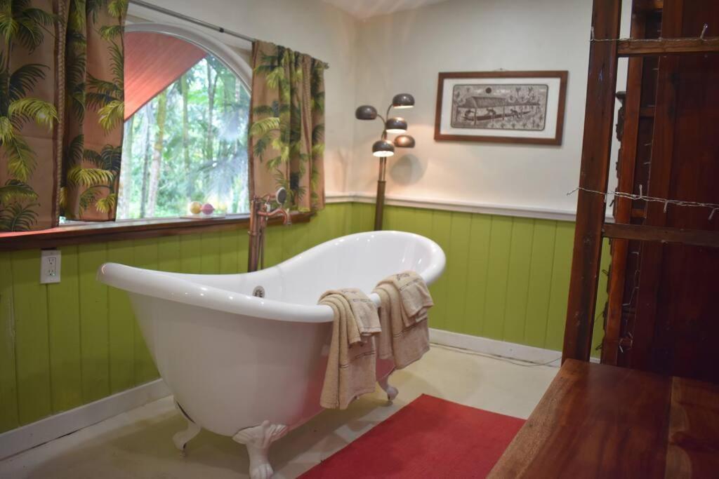 The Red And Hawaiian Pond Garden Paradise! Holiday home Keaau