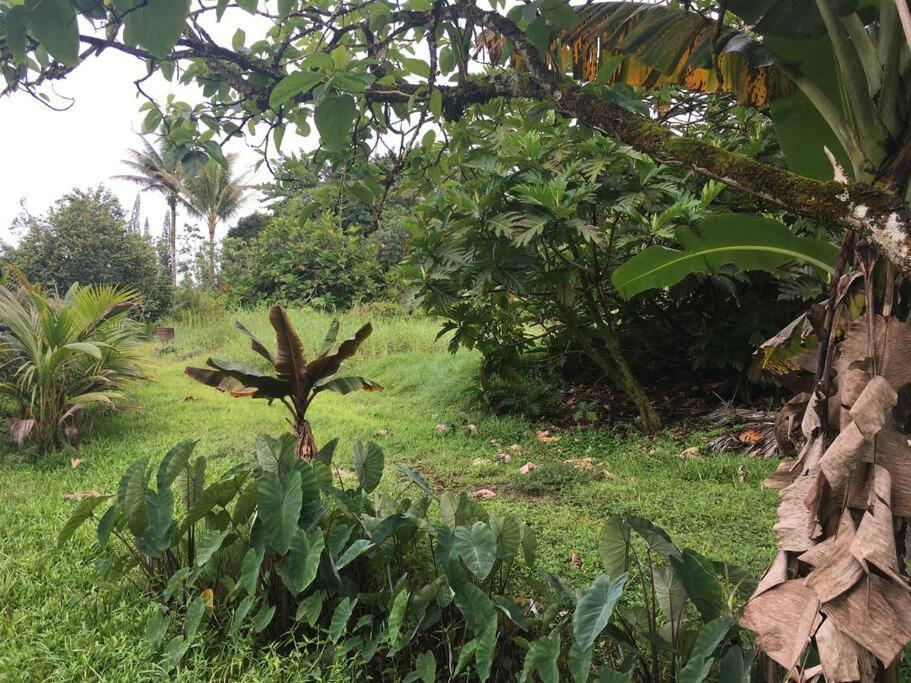 The Red And Hawaiian Pond Garden Paradise! Keaau